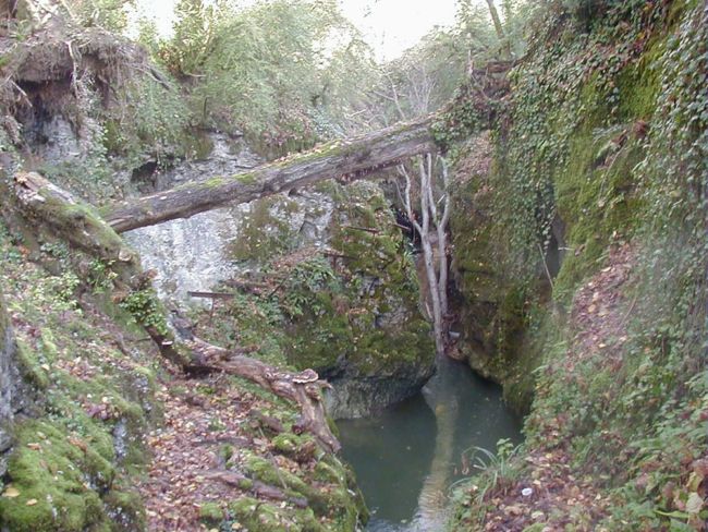 gorges_friche